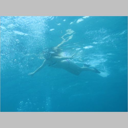 Dive Blue Heron 03-Apr-2010_916.JPG